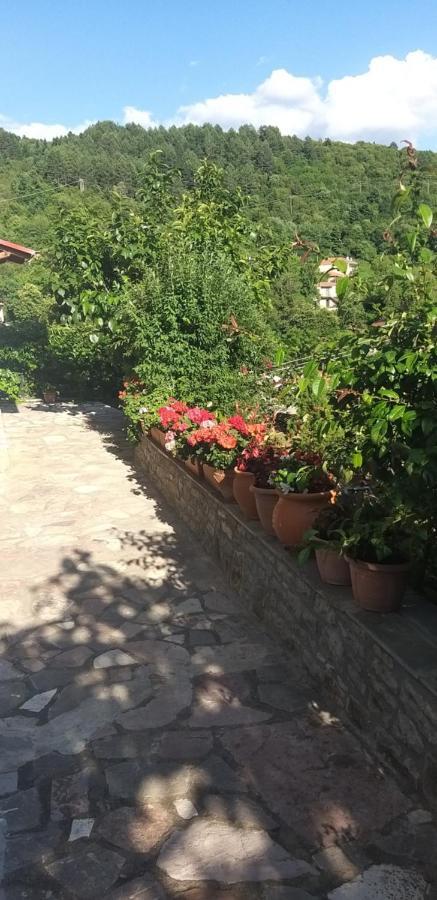 Το Σπίτι Της Ευτυχίας Σουίτα Apartment Karpenisi ภายนอก รูปภาพ